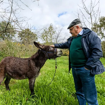 Feriehus Casa Dos Limoeiros Em Ribas