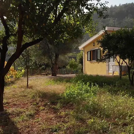 Feriehus Casa Dos Limoeiros Em Ribas *